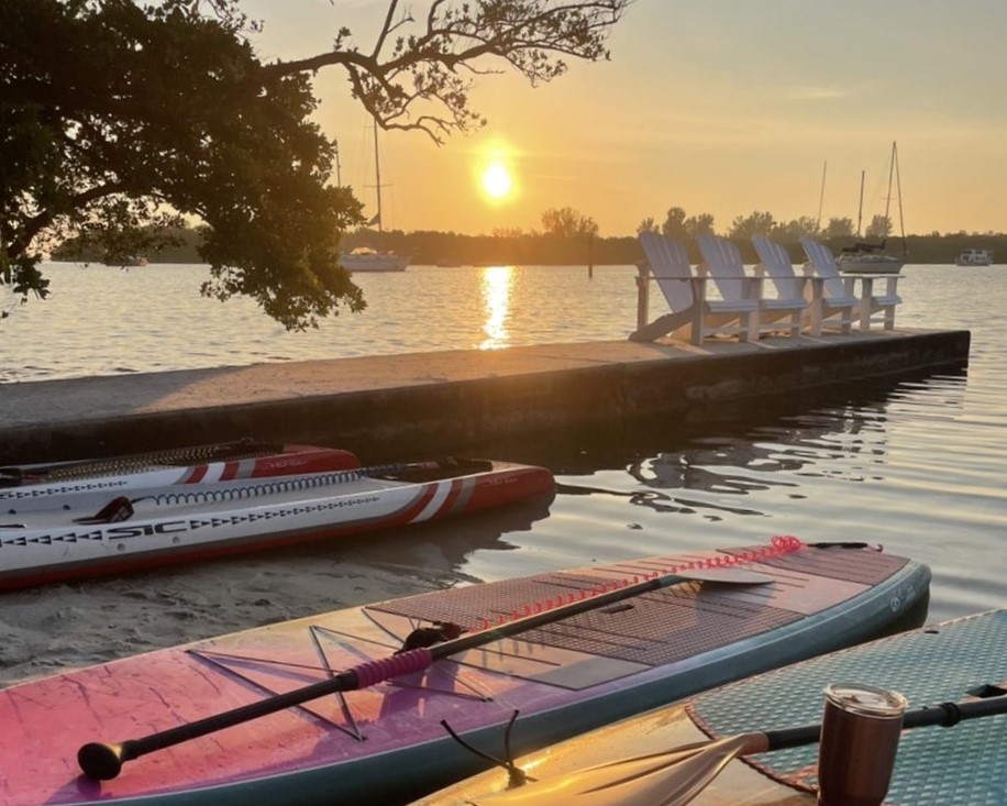 stand up paddle boards in the water